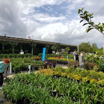 PERINO’S HOME & GARDEN CENTER - Updated July 2025 - 183 Photos & 58 ...