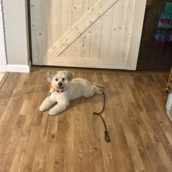 Bre’s Paw Spa - Pet Groomers Near Me Bre’s Paw Spa - Pet Groomers Near Me