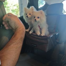 Marathon Dog Park - On the way to the dog park