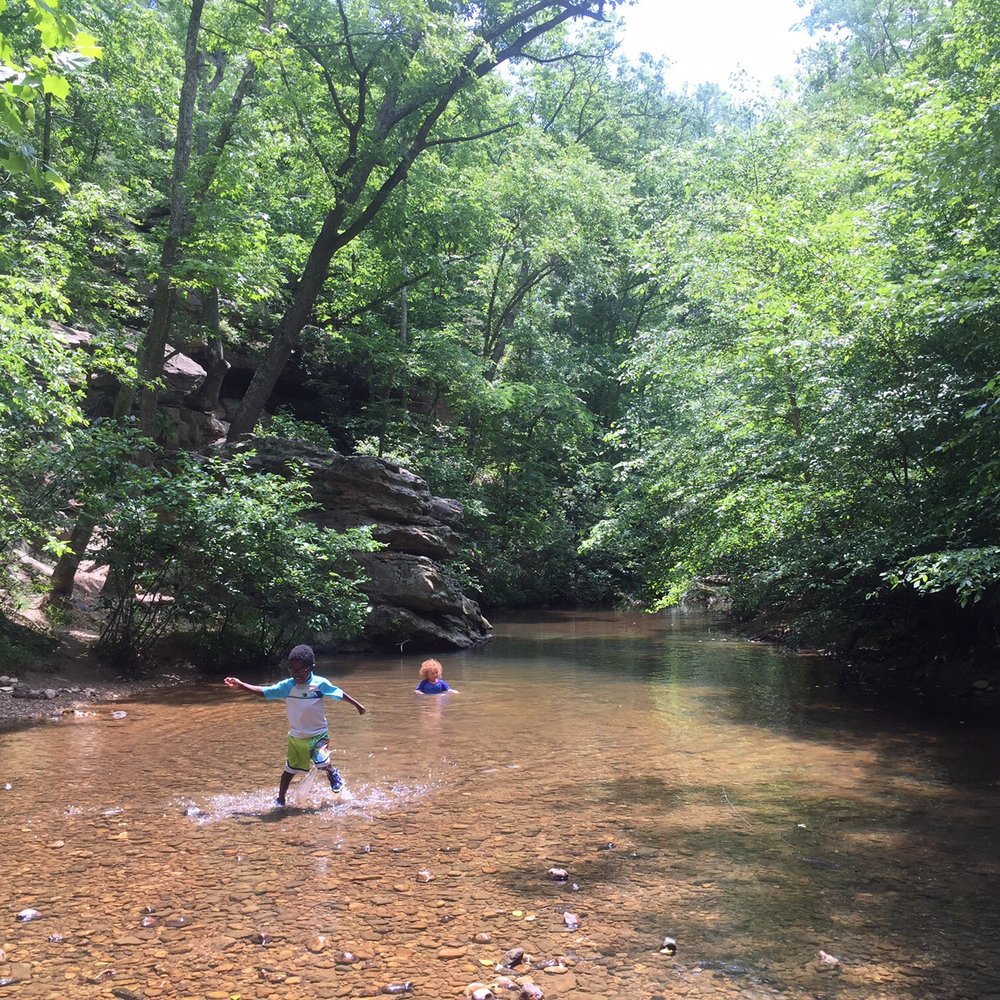 Creek swimming Creek swimming