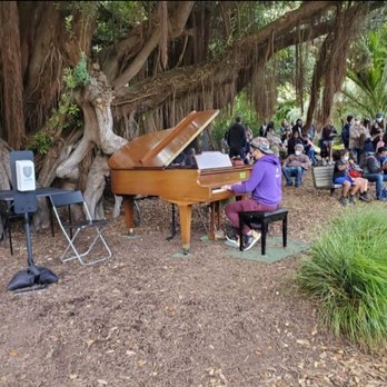 Flower Piano - Flower Piano 2021 (visitors playing piano) - Performing Arts Near Me - San Francisco, California Flower Piano - Flower Piano 2021 (visitors playing piano) - Performing Arts Near Me - San Francisco, California