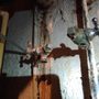 Photo of Nash Plumbing