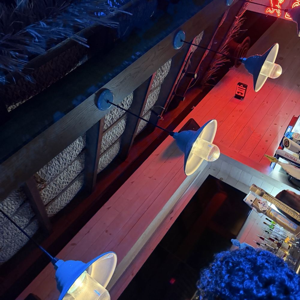 Shark Bar - Main area - Dance Clubs Near Me - Orlando, Florida