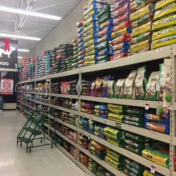 Pet Supplies Plus Royal Oak - All of these are grain free holistic and the highest quality dog food on the market - Pet Stores Near Me - Royal Oak, Michigan Pet Supplies Plus Royal Oak - All of these are grain free holistic and the highest quality dog food on the market - Pet Stores Near Me - Royal Oak, Michigan