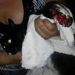 Tamiami Animal Hospital - John M Santamarina DVM