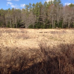 Horton Woods - Birds abound in the marsh
