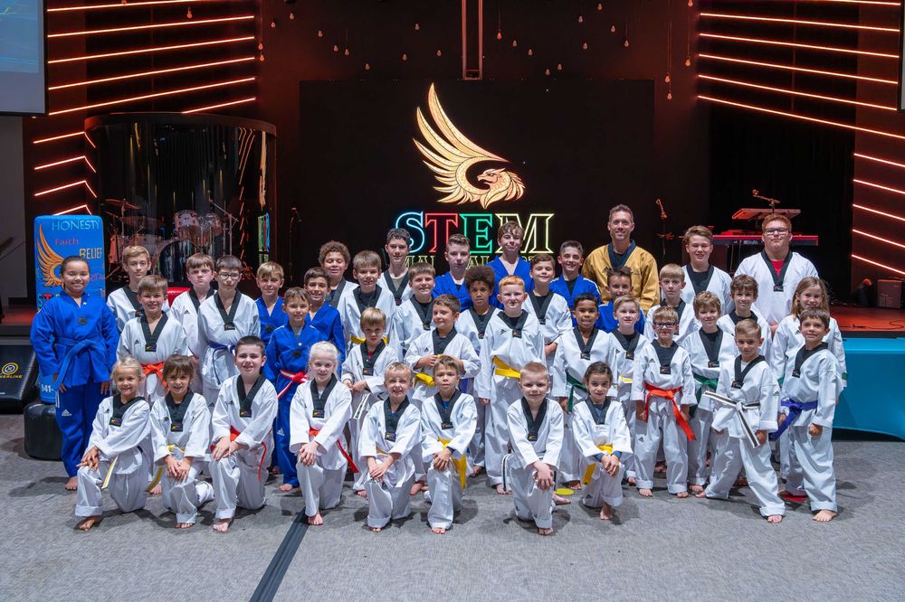 STEM Martial Arts Image