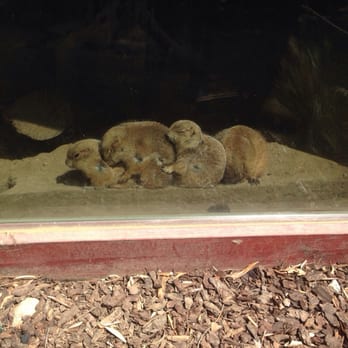 Wildlife Learning Center - Zoos Near Me - Sylmar, California Wildlife Learning Center - Zoos Near Me - Sylmar, California