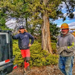 Western Skies Tree Service