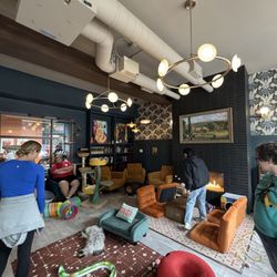Catzen Coffee - Cat room