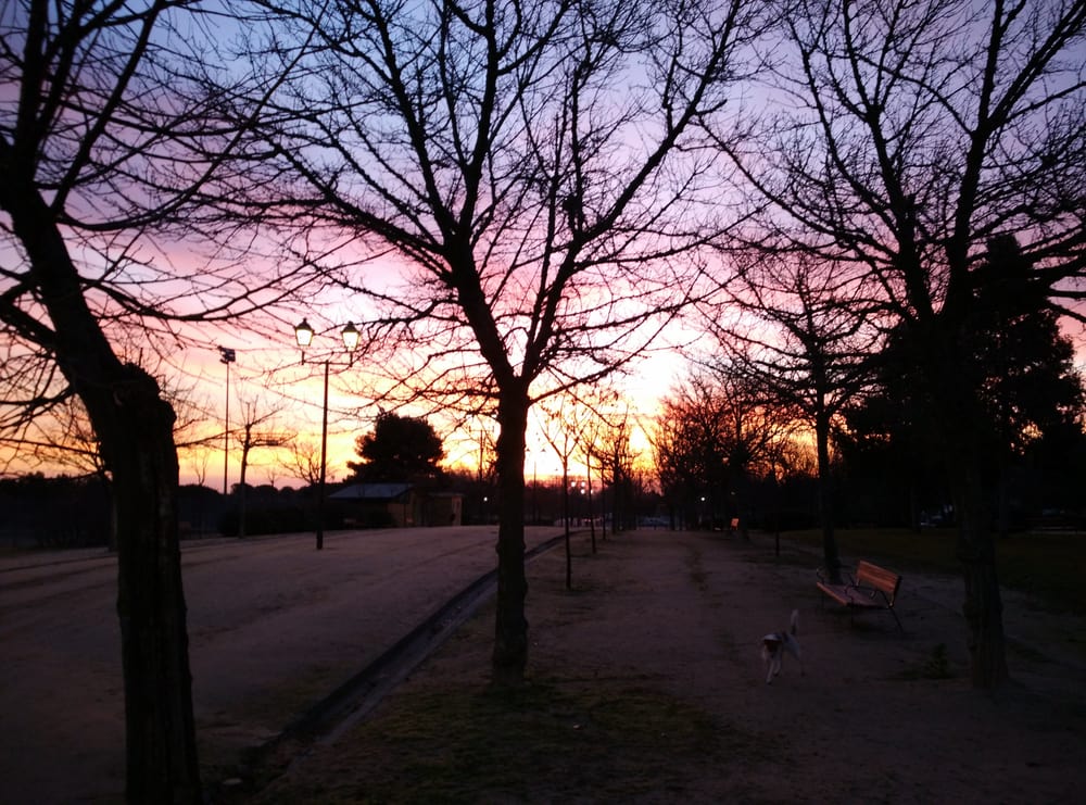 Parque de la Vicalvarada