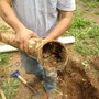 Photo of General Plumbing Services