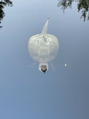 Wompatuck State Park by null