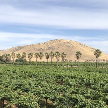 Cedar View Winery - View from the balcony of the winemaker's suite - Wineries Near Me - Sanger, California