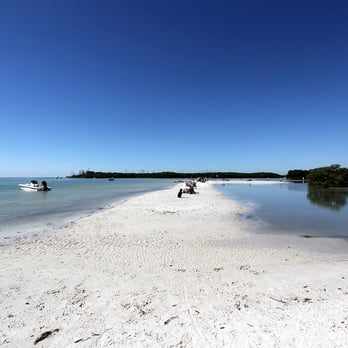 Dog Beach Park - Dog Parks Near Me - Fort Myers, Florida Dog Beach Park - Dog Parks Near Me - Fort Myers, Florida