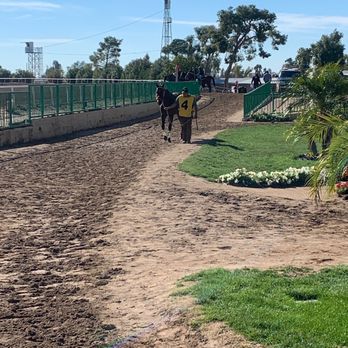Turf Paradise - Horse Showing - Horse Racing Near Me - Phoenix, Arizona Turf Paradise - Horse Showing - Horse Racing Near Me - Phoenix, Arizona