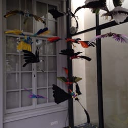 Museum Meermanno - Vogels in de tussenhal.