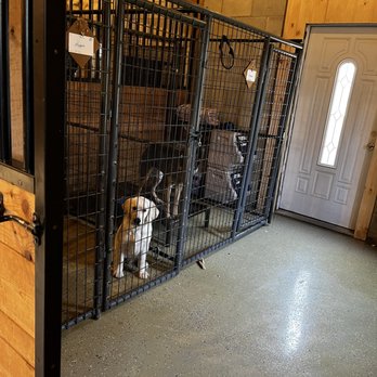 Native K-9 - Pet Training Near Me - Caseville, Michigan Native K-9 - Pet Training Near Me - Caseville, Michigan