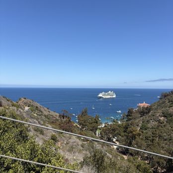 Catalina Zip Line Eco Tour - View of the beach - Ziplining Near Me - Avalon, California Catalina Zip Line Eco Tour - View of the beach - Ziplining Near Me - Avalon, California