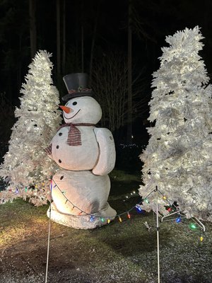 The Lights of Christmas by null