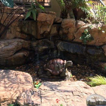 Exotic Aquatic - Trevor's awesome work! - Aquarium Services Near Me Exotic Aquatic - Trevor's awesome work! - Aquarium Services Near Me