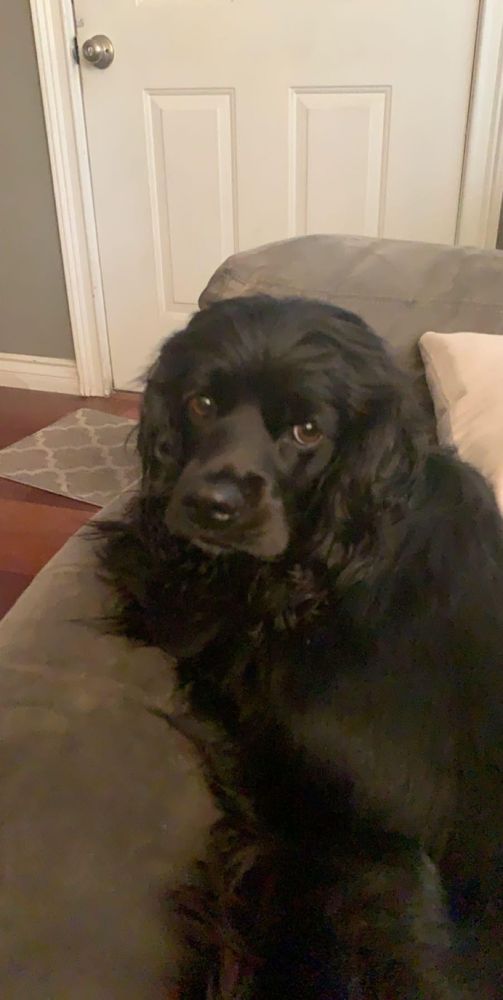 LIPSTICK BAIL BONDS Updated October 2024 17 Reviews 5150