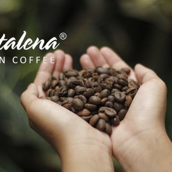 Mitalena Coffee - hands holding coffee beans - Coffee Roasteries Near Me - Houston, Texas Mitalena Coffee - hands holding coffee beans - Coffee Roasteries Near Me - Houston, Texas