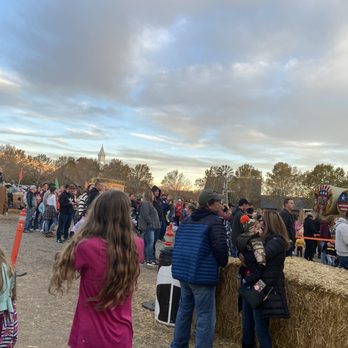 Cornbelly's - Crowds - Festivals Near Me - Lehi, Utah
