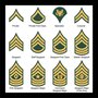 Photo of GI Jeffs Army/Navy Surplus Inc