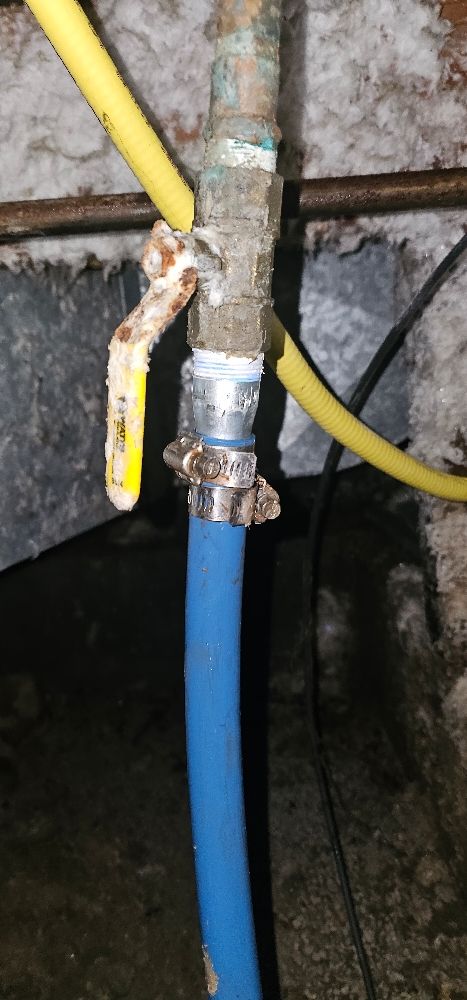 Slide of Handyman Will