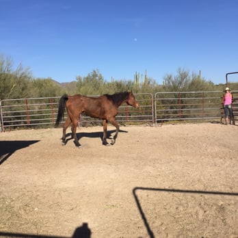 Acacia Riding Adventures - Horseback Riding Near Me - San Acacia, New Mexico Acacia Riding Adventures - Horseback Riding Near Me - San Acacia, New Mexico