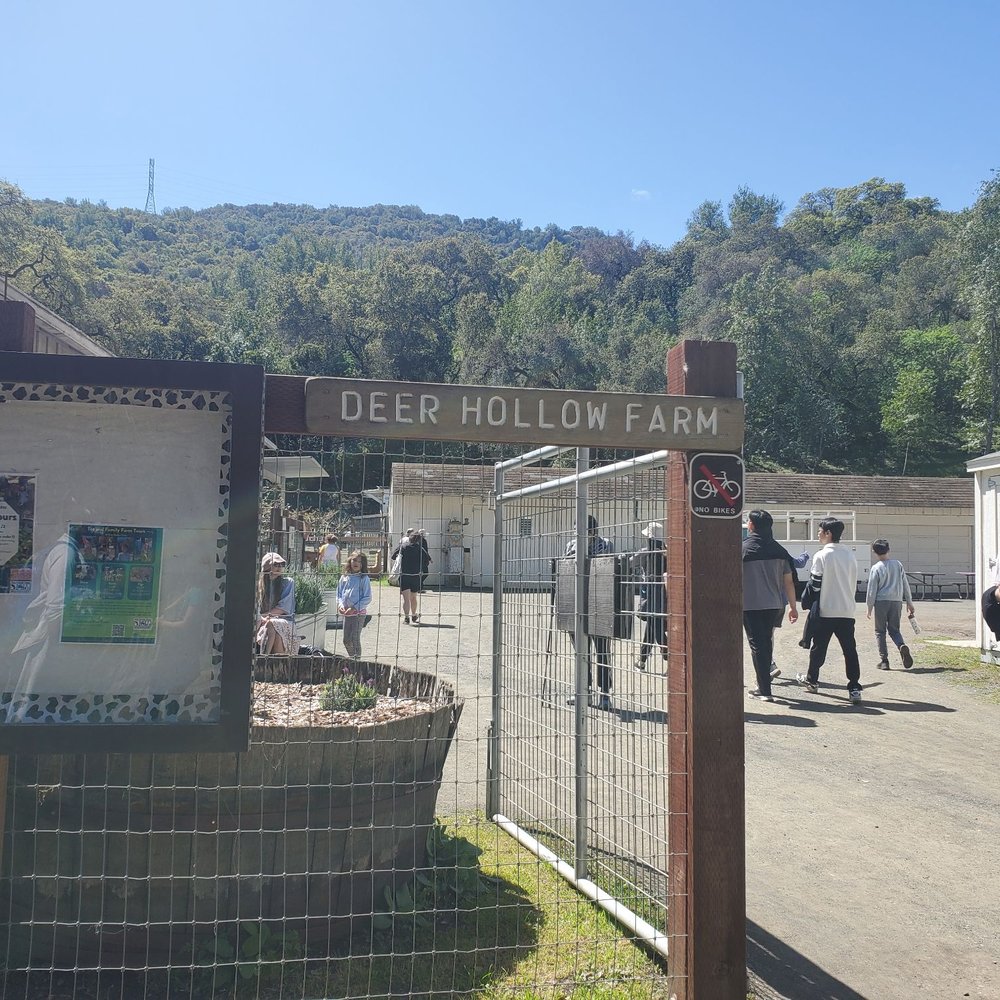 Deer Hollow Farm - Farm - Kids Activities Near Me - Cupertino, California