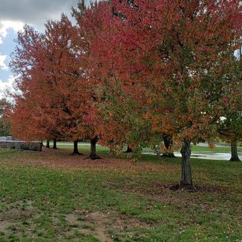 Kentucky Horse Park - Parks Near Me - Lexington, Kentucky Kentucky Horse Park - Parks Near Me - Lexington, Kentucky