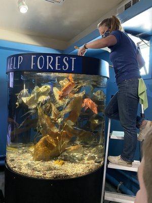 Central Coast Aquarium by null