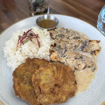 Curuba Cafe - Chicken and mushrooms - Latin American Near Me - Allen, Texas