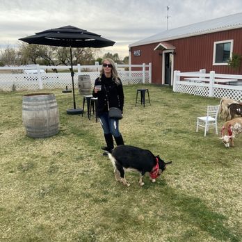 Medella Vina Ranch - Horseback Riding Near Me - Tucson, Arizona