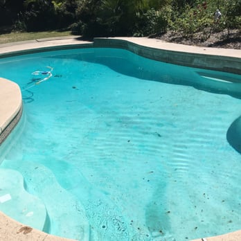 Pool Whip Pros - After - Pool Cleaners Near Me