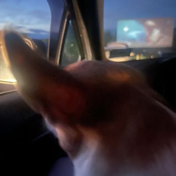 Warwick Drive In - Bella watching dead pool - Drive-In Theater Near Me - Warwick, New York