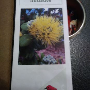 Foster Botanical Garden - Ohia brochure - Botanical Gardens Near Me - Honolulu, Hawaii Foster Botanical Garden - Ohia brochure - Botanical Gardens Near Me - Honolulu, Hawaii