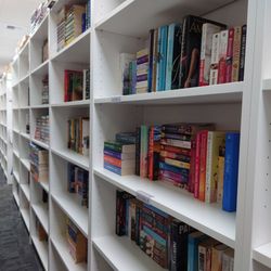 Walls of Books - Inside
