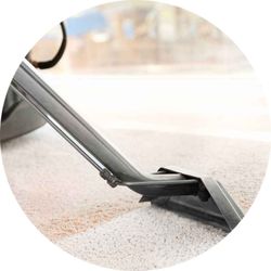 Cape Cod Carpet Cleaner - Img of cape cod carpet cleaner