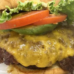 Shack Stack Shack Stack