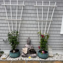  Cape Bodhi Works - Our protector