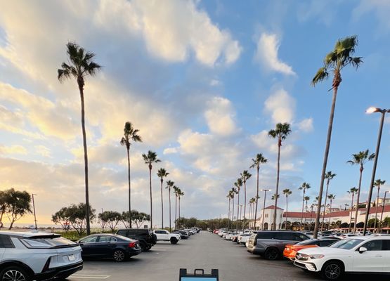 Parakeet Cafe - Newport Beach by null