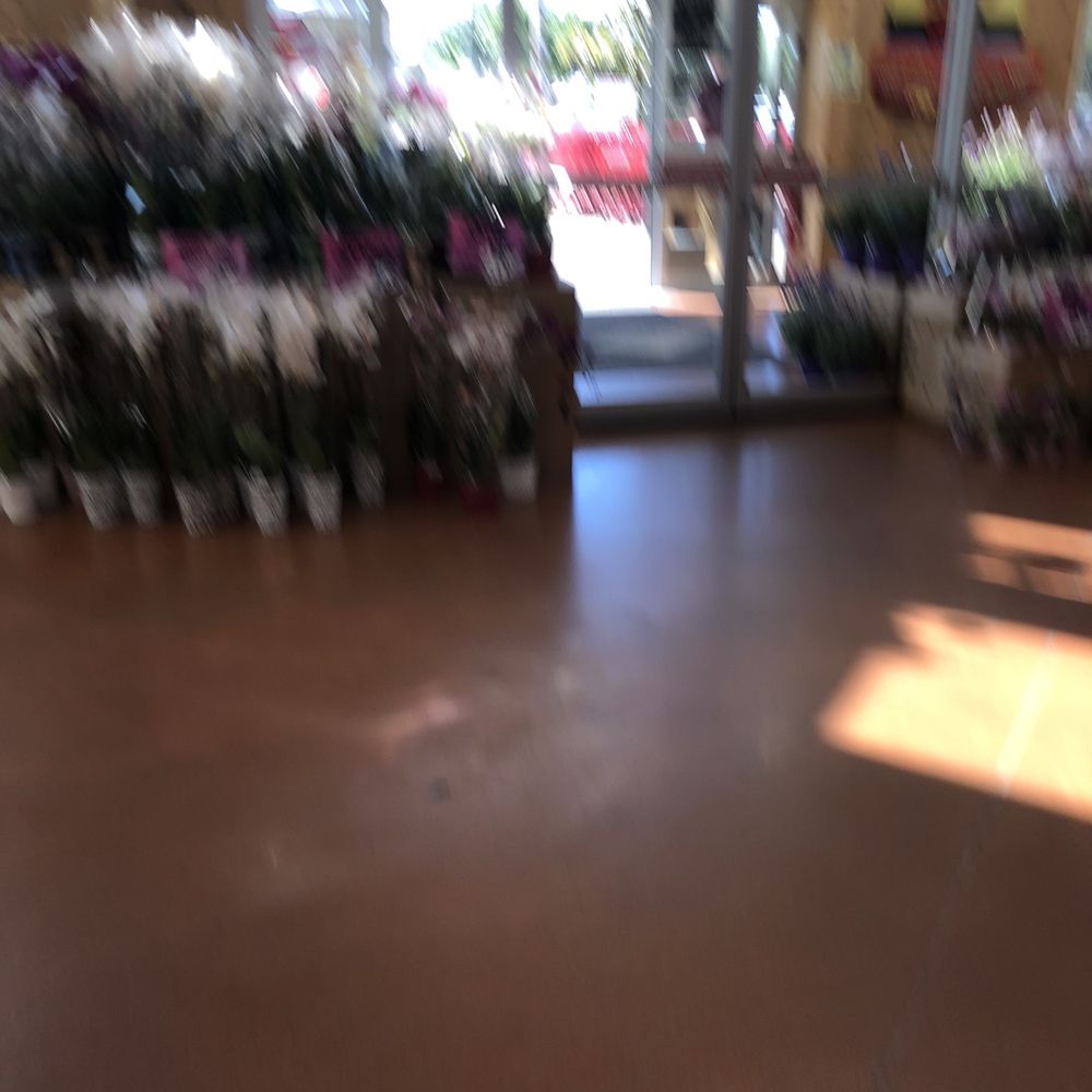 Trader Joe's - Grocery Near Me - Houston, Texas
