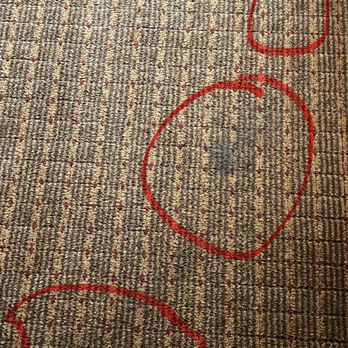 Hilton Minneapolis - Old stains in carpet - Hotels Near Me - Minneapolis, Minnesota Hilton Minneapolis - Old stains in carpet - Hotels Near Me - Minneapolis, Minnesota
