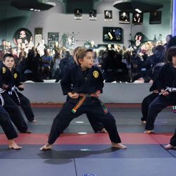 International Martial Arts Academy