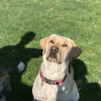 Tailored Tails - Pet Groomers Near Me - Clinton, Utah Tailored Tails - Pet Groomers Near Me - Clinton, Utah