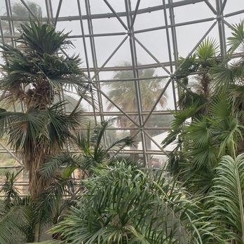 San Antonio Botanical Garden - Palm and Cycad pavilion - Botanical Gardens Near Me - San Antonio, Texas