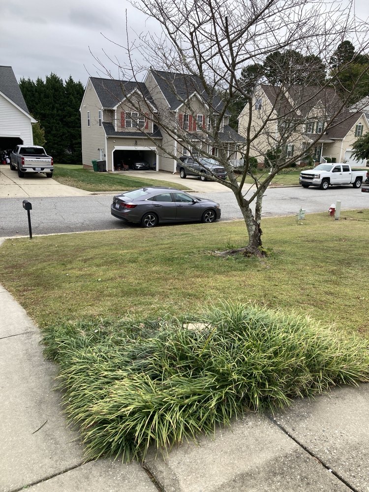 General Tree Service - tree service in Greensboro, NC